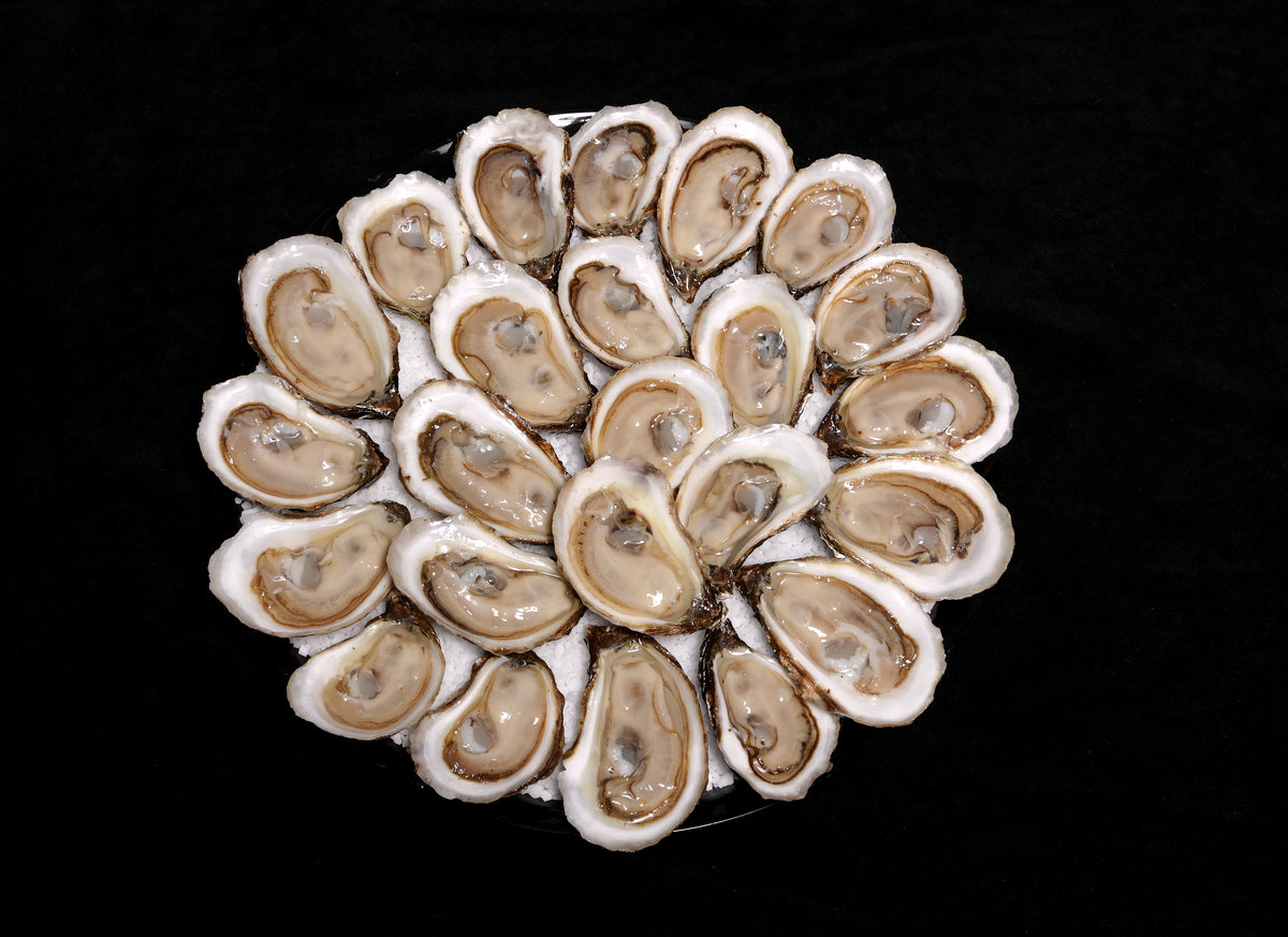 Shucked Shiny Sea Oyster Platter - 25 un. on Ice